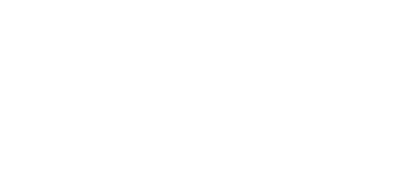 BRIDGE STAY